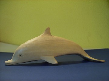 Dolfijn