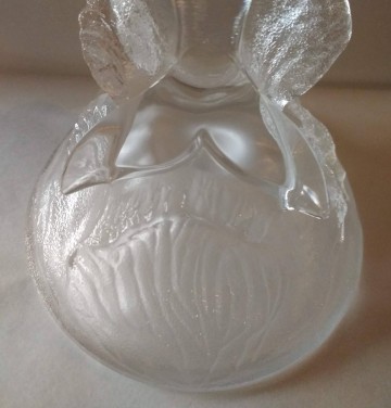 Dolfijn opgolven glas 1