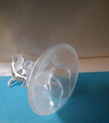 Dolfijn opgolven glas 14