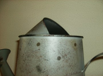 Grote Gieter, met afbeelding vogel