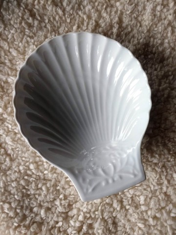 Ijs schelp  stjacob lourioux 7