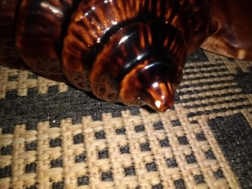 Img20211127173108305