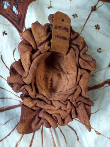 Img20220312182233895