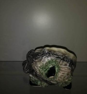 Kom oester met zeepaardje 9