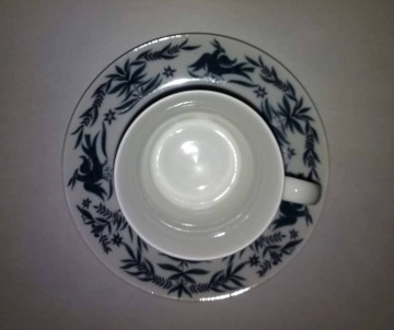 Kopschotel  foenix spanje 1