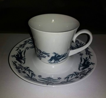 Kopschotel  foenix spanje 8