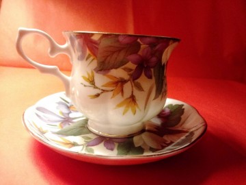 Kopschotel alt regensburg  1 4