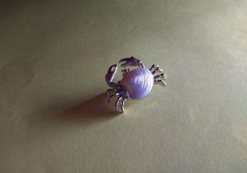 Krab broche gerrys 5