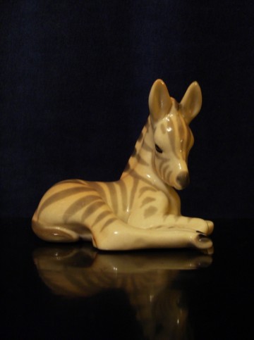 Lomonosov beeldje, jong Zebra'tje