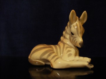 Lomonosov beeldje, jong Zebra'tje