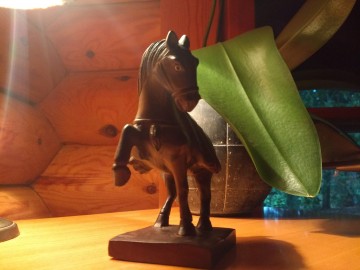 Paardje hout gelijkenis tang 33