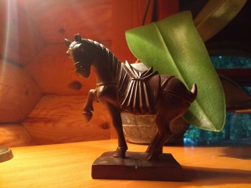 Paardje hout gelijkenis tang 34