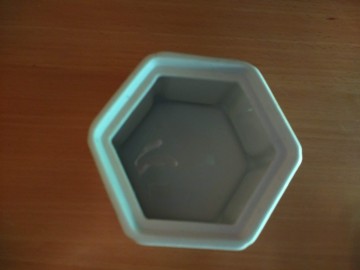 Potje porselein royalpavilionbrighton elizabetharden 1