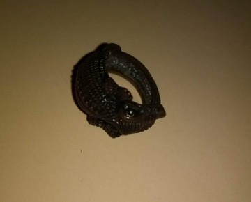 Ring krokodil 10
