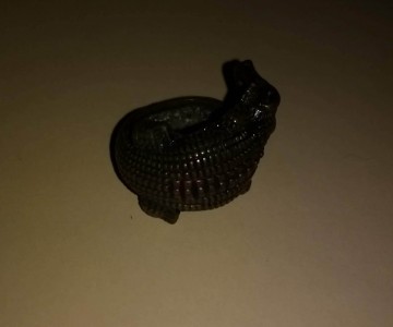 Ring krokodil 2