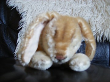 Steiff konijntje  hansi 1
