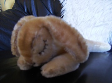 Steiff konijntje  hansi 4