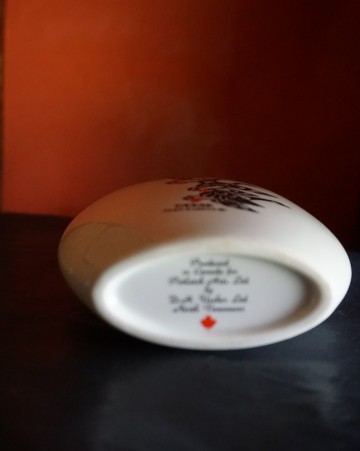 Vaasje gees glen rabena 10