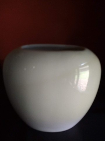 Vaasje gees glen rabena 3