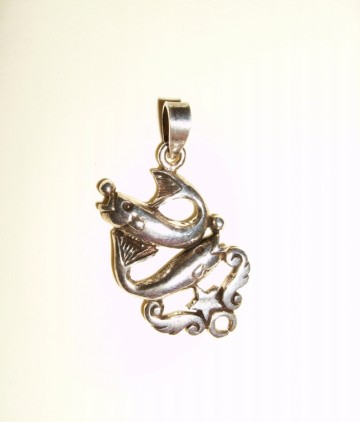 Zilveren Hanger met Sterrenbeeld Vissen