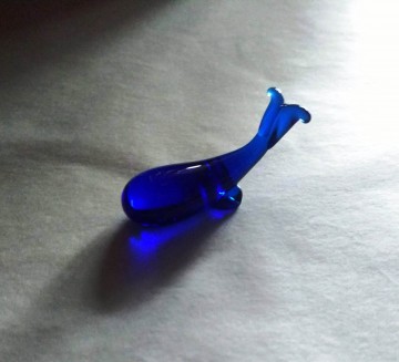Walvisje glas blauw 2